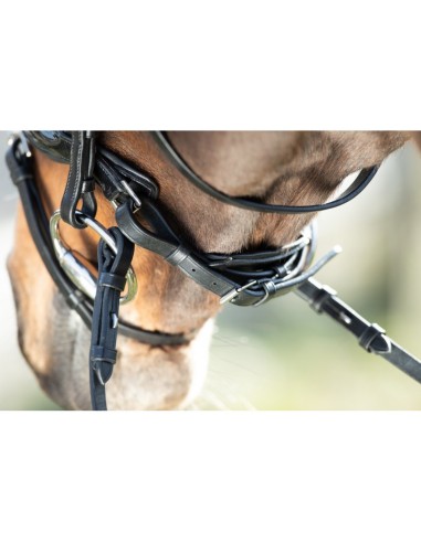 Bridon vernis SHINY BRIDLE HFI