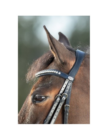 Bridon vernis SHINY BRIDLE HFI