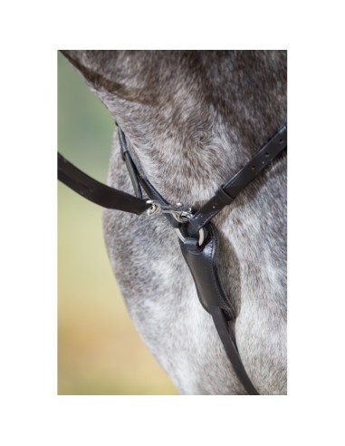 Collier de chasse avec martingale LONG BRIDGE HFI