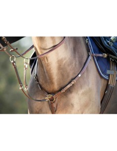 Collier de chasse avec martingale LONG BRIDGE HFI 2