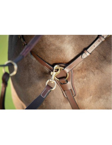 Collier de chasse avec martingale LONG BRIDGE HFI