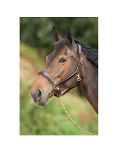 Licol en cuir ANATOMIC HFI