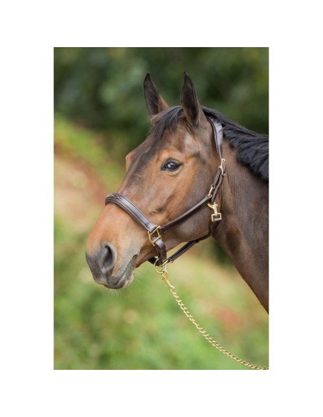 Licol en cuir ANATOMIC HFI