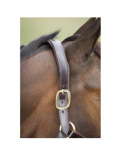 Licol en cuir ANATOMIC HFI 2