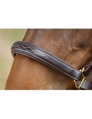 Licol en cuir ANATOMIC HFI