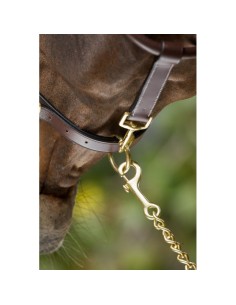 Licol en cuir GROOMING HFI 2