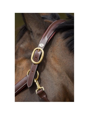 Licol en cuir GROOMING HFI