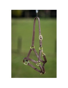 Licol FOAL cuir souple HFI