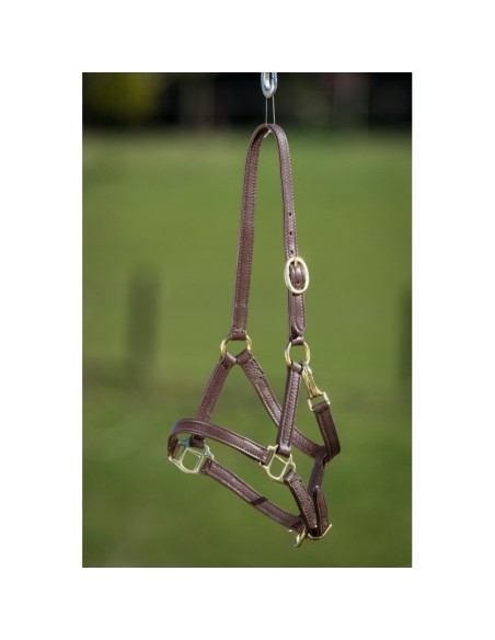 Licol FOAL cuir souple HFI