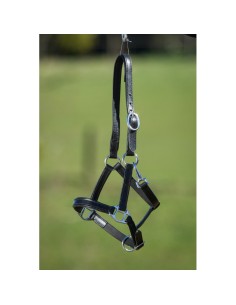 Licol FOAL cuir souple HFI 2