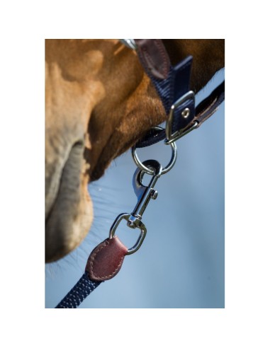 Licol nylon & longe SMART HFI