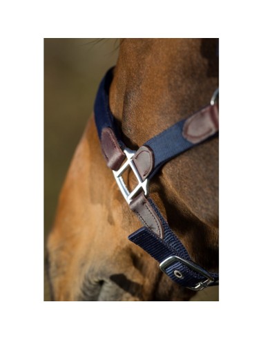 Licol nylon & longe SMART HFI