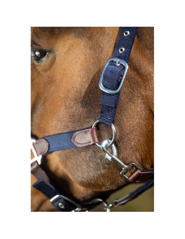 Licol nylon & longe SMART HFI