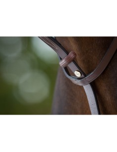 Martingale à anneaux HFI 2