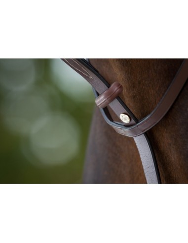 Martingale à anneaux HFI