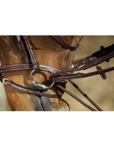 Rêne allemandes CORDE HFI