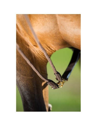 Rêne allemandes CORDE HFI