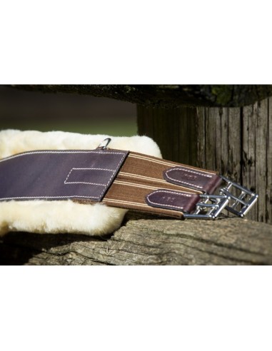 Sangle bavette avec mouton HFI