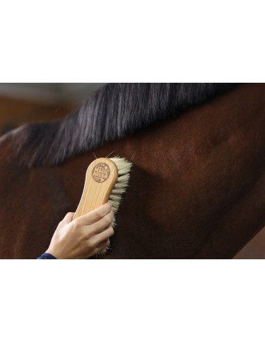 Magicbrush brosse combinée