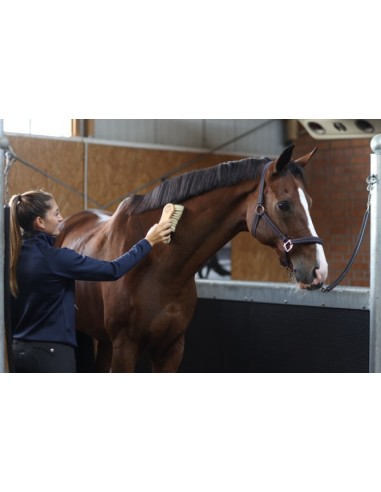 Magicbrush brosse combinée