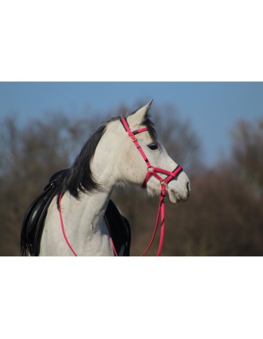 Sidepull biotack T de T