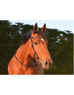 Bridon liberty Collection One Jump 'in