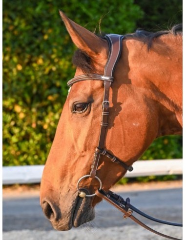 Bridon liberty Collection One Jump 'in