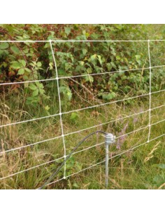 Collier de serrage pour piquets de terre Gallagher 2