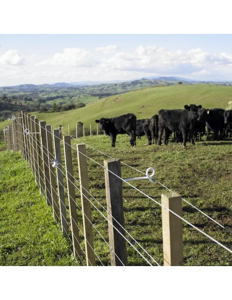 Isolateurs à distance queue de cochon Gallagher