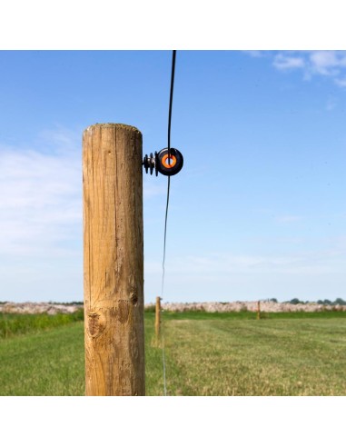 Isolateurs à vis XDI Gallagher
