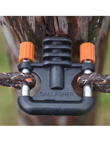 Isolateurs d'ancrage Gallagher