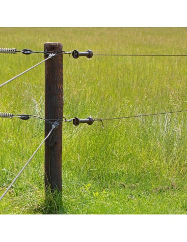 Isolateurs d'ancrage Gallagher