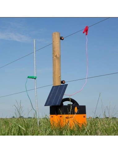 Jeu de câbles pour poste Gallagher