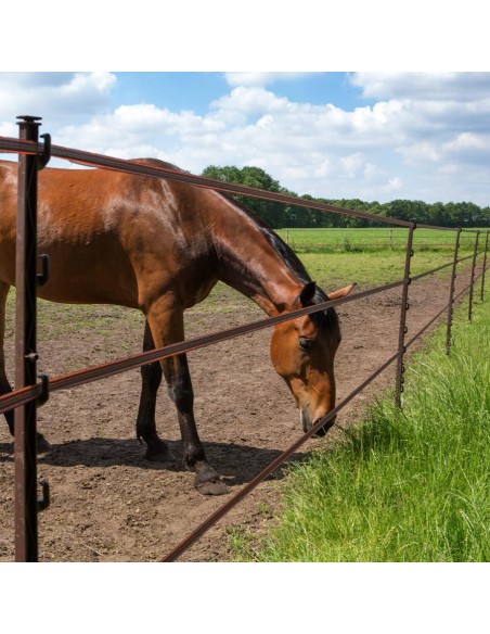 Piquets de pâture à étrier Gallagher