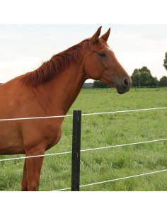 Piquets Eco Gallagher 2