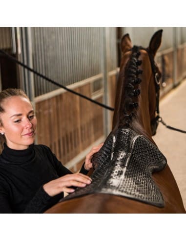 Amortisseur de dos en gel Horsena