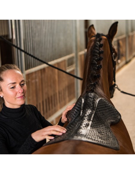 Amortisseur de dos en gel Horsena