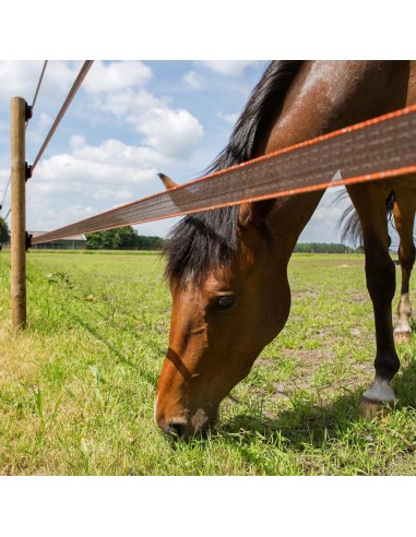 Ruban Turbo Star 40mm Super Gallagher