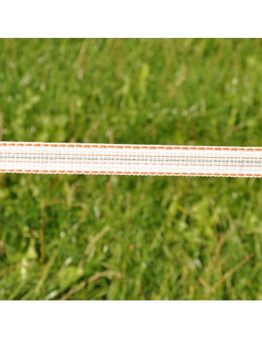 Ruban TurboLine 20mm, 200 mètres Gallagher