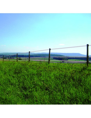 Ruban TurboLine blanc 40mm 200m Gallagher