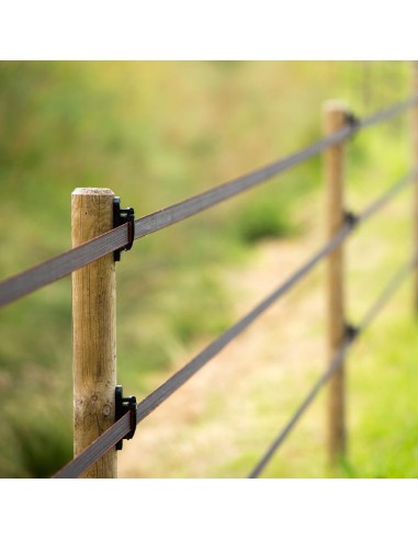 Ruban TurboStar 40mm Super Blanc/ Super Marron Gallagher | Sellerie Sylvie Equitation