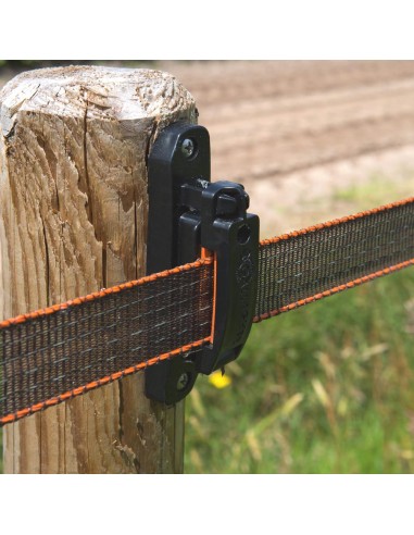 Ruban TurboStar 40mm Super Blanc/ Super Marron Gallagher | Sellerie Sylvie Equitation