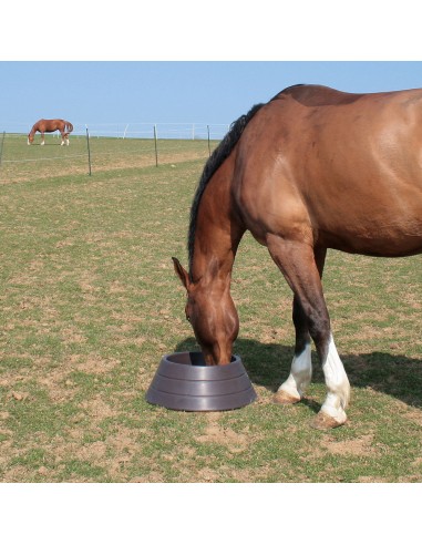 Mangeoire de prairie La Buvette