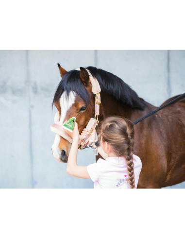 Anti-insectes PROTECT GEL EMOUCHINE Ravene