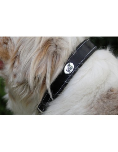 Collier pour chien JUMP'IN noir