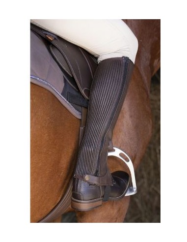 Mini-chaps en cuir Equithème