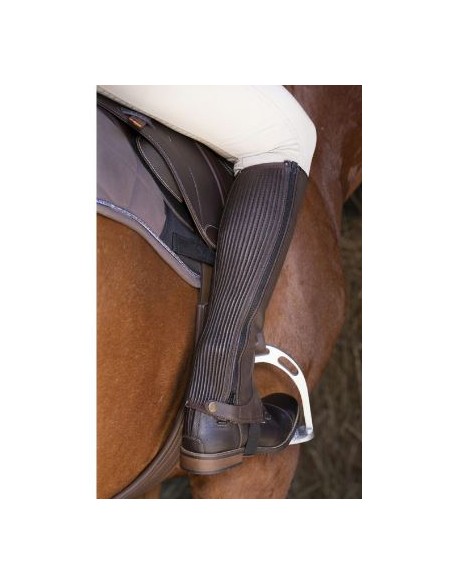 Mini-chaps en cuir Equithème