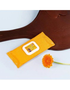 Lingettes Easy clean pour cuir RAVENE