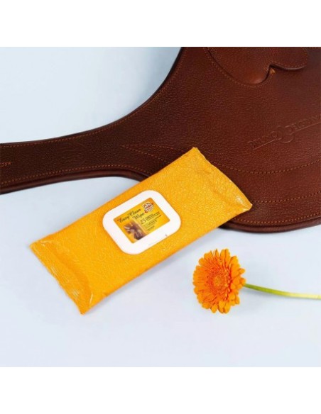 Lingettes Easy clean pour cuir RAVENE