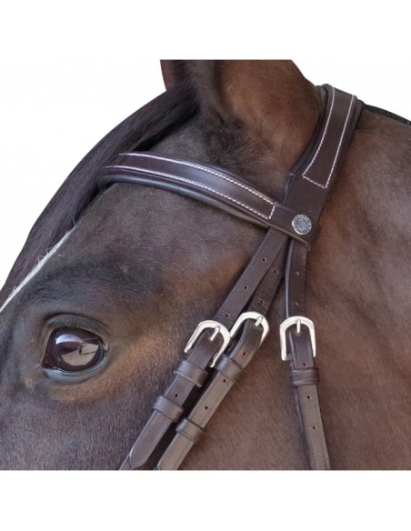 Bridon plat doublé Canter